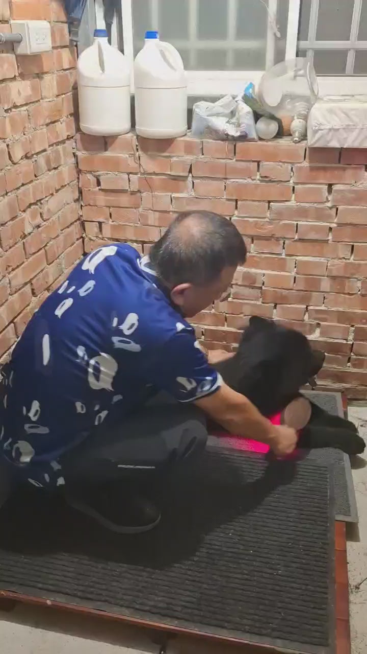 微笑的毛孩 PET-1 寵物除臭梳｜活氧除臭 × 紫外光抑菌 × 遠紅外線護毛